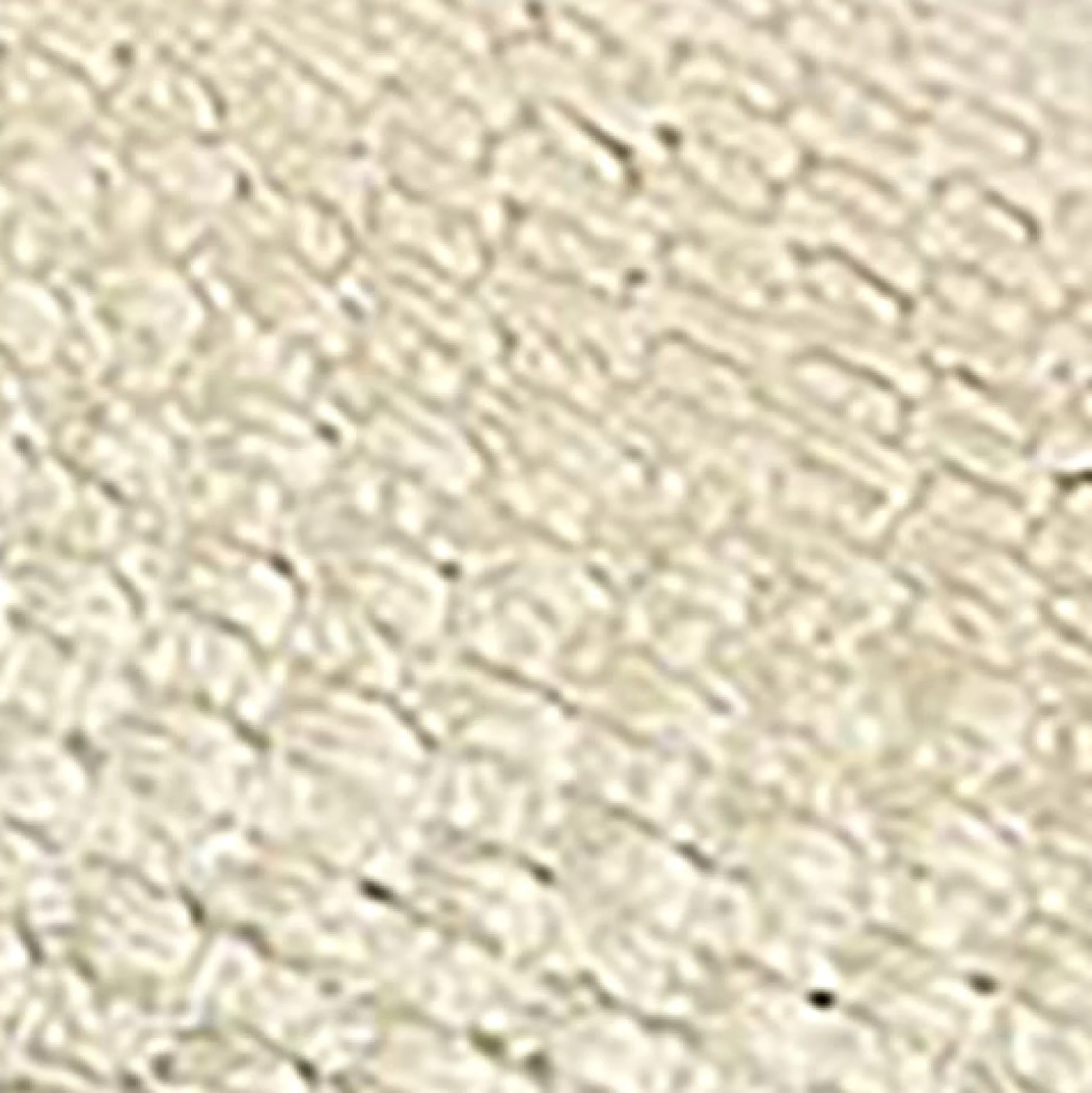 Comfortable Women's Quarter Strap Platform Sandal in Soft Gold Canvas Faux Leather Canvas Fabric