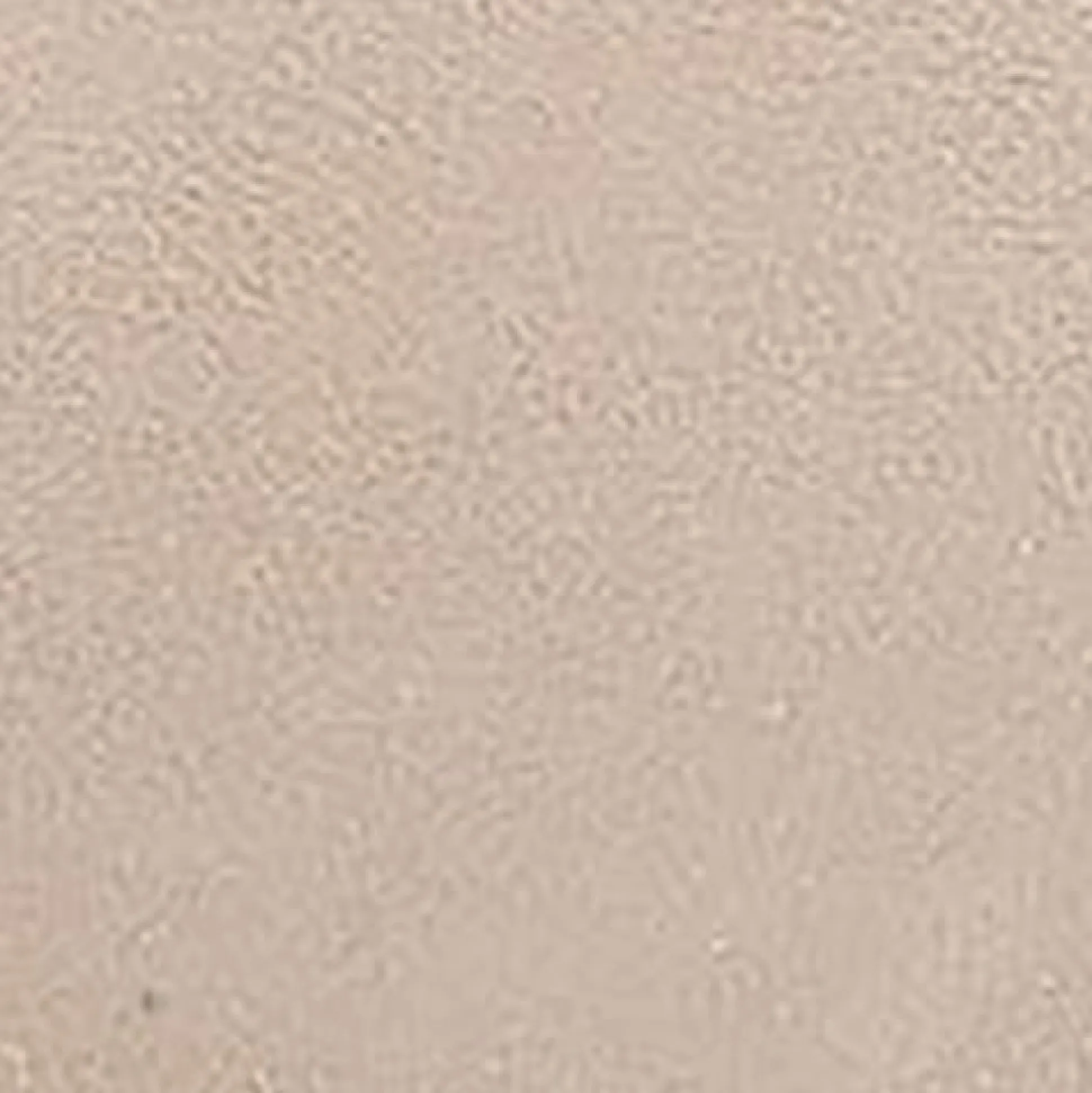 Comfortable Women's Thong Mini Wedge Sandal in Pale Khaki Suede